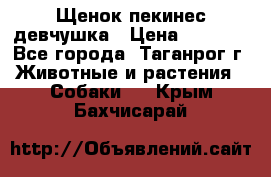 Щенок пекинес девчушка › Цена ­ 2 500 - Все города, Таганрог г. Животные и растения » Собаки   . Крым,Бахчисарай